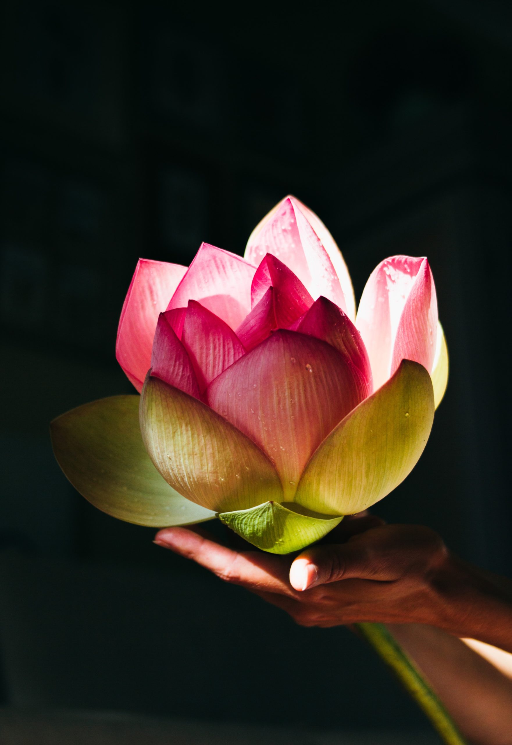 olga-nayda-B9A34y-wnrs-unsplash